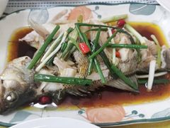-天鹅到家·保姆月嫂育儿嫂(朝阳店)
