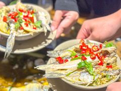 -石锅苗苗鱼(武汉首店)