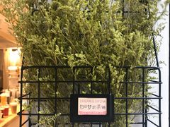-白日梦奶茶