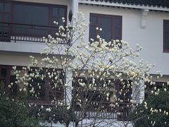 -苏州吴宫泛太平洋酒店