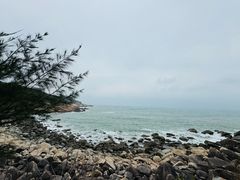 -广东惠东海龟国家级自然保护区