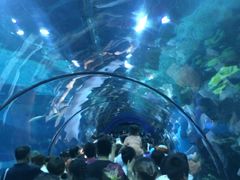 -福州罗源湾海洋世界旅游区