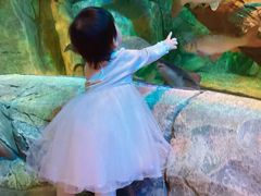 -沈阳海洋探索中心