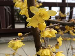 -苏州文旅花间堂·探花府酒店