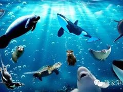 iphone_upload_pic-梦幻海洋王国(吾悦广场张家港店)