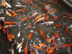 -汉唐水世界温泉洗浴水乐园