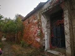 -焦岗湖影视城