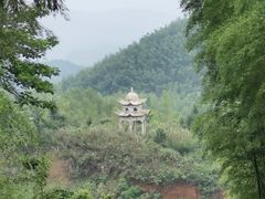 -蔡伦竹海