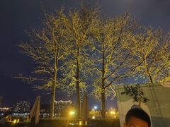 -江滨壹号艺文空间复合餐厅(闽江大道店)