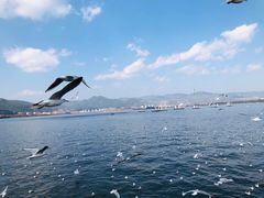 -海埂大坝