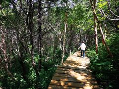 -白草畔自然风景区