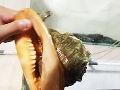 -海盗餐厅