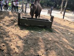 -长白岛森林公园
