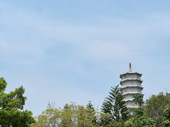 -深圳国际园林花卉博览园