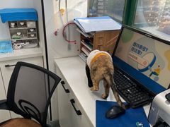 -瑞派·关忠动物医院·猫专科·犬专科(三环新城店)