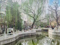 -桃花堤公园