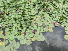 -苏州大学独墅湖校区-第6食堂