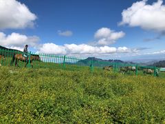 -灵山