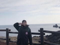 -涉地可支