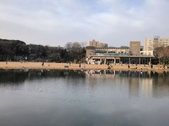 -青枫公园