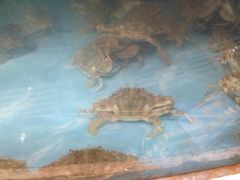 -松兰山海景大酒店·海鲜中餐厅