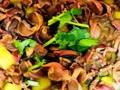 -天鹅到家·保姆月嫂育儿嫂(南开店)