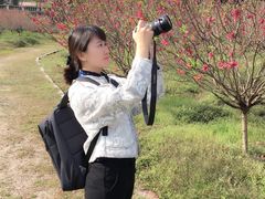 -南国桃园旅游度假区