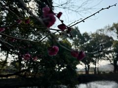 -普陀山风景名胜区-法雨禅寺