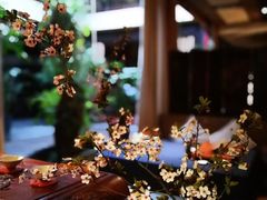-白鹭原茶艺馆