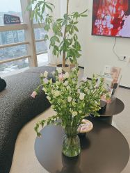 -JNK皮肤管理中心