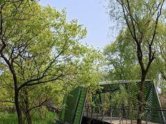 -西湖风景区-江洋畈生态公园