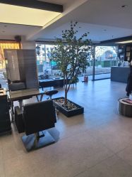 -付军剪艺JF ProSalon