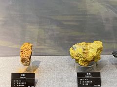 -甘肃地质博物馆