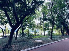 -南宁南湖公园