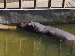 -青藏高原野生动物园