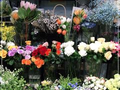 -ChaKo Flora ·茶子花艺 (市北店)