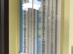 -派联宠物医院·24h·CT·异宠
