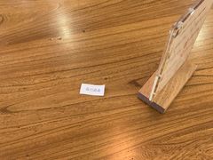 -油梨树 AVOCADO TREE(亮马桥店)
