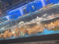 -苏格里岛自助海鲜烤肉火锅(集美万达店)