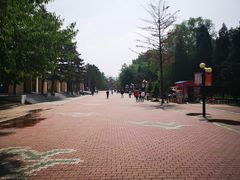 -二一九公园