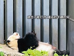 -黔灵山公园