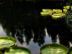 -上海滨江森林公园