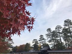 -京都御所
