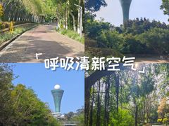 -狐尾山公园