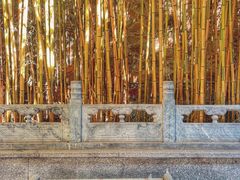 -潭柘寺景区