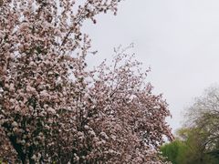 -海棠花溪(元大都城垣遗址公园)