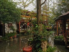 -青城甲(青城山店)