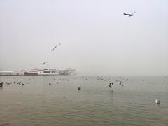 -海驴岛(荣成市)