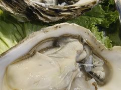 -三宽猪蹄(咸阳店)