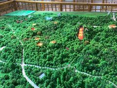 -海口火山口国家地质公园